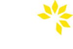 Ludwig Hartmann